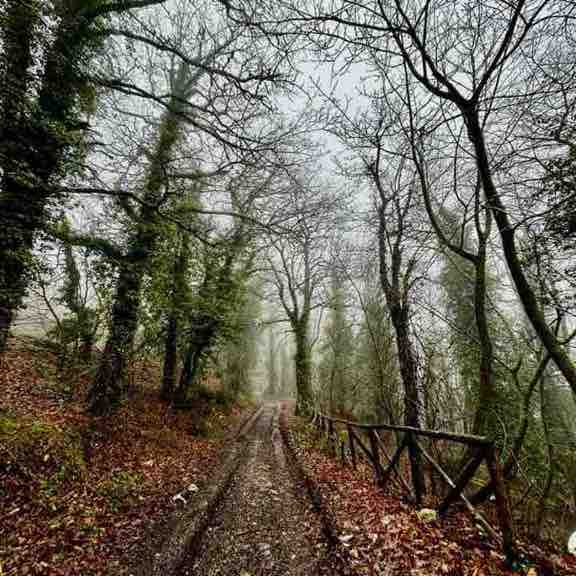 daniela.cafano post 2