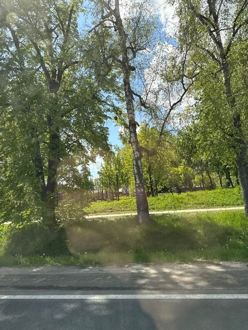 walking near me in Мемориальный парк А. А. Пушкина in spring