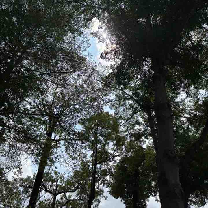 美美激 post 2