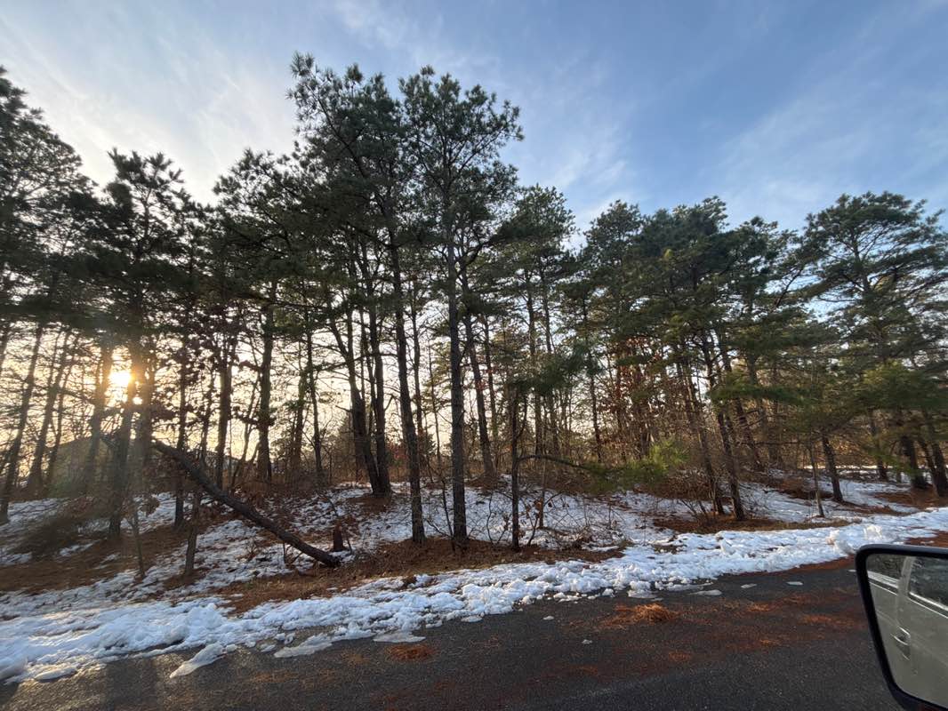 walking near me in Brendan T. Byrne State Forest in winter