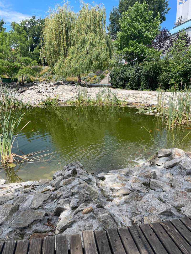 walking near me in Park Jama in winter