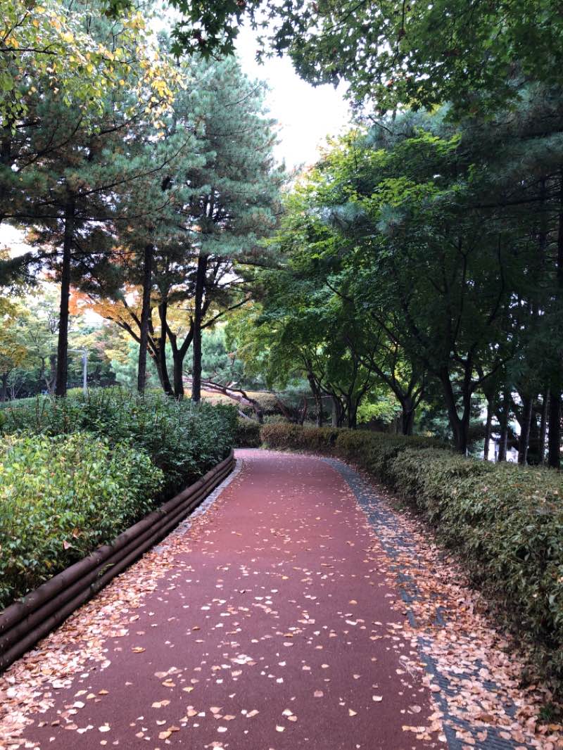 walking near me in 연화 근린공원 in winter