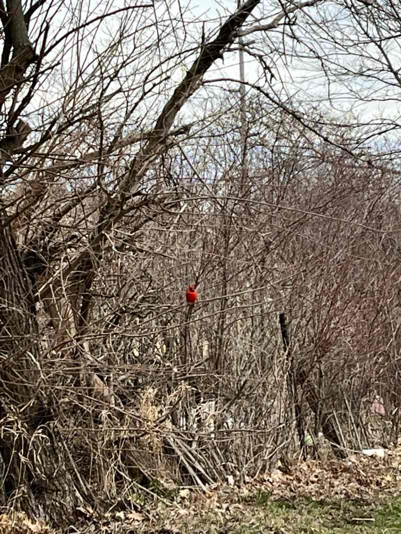 walking near me in Creekside Commons in winter
