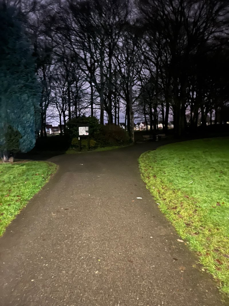 walking near me in Northwood Park in winter