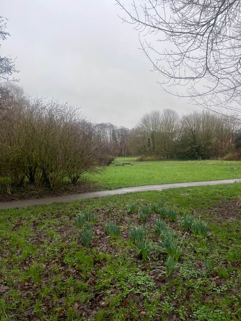 walking near me in The Friends of Bilbrook Jubilee Wood in winter