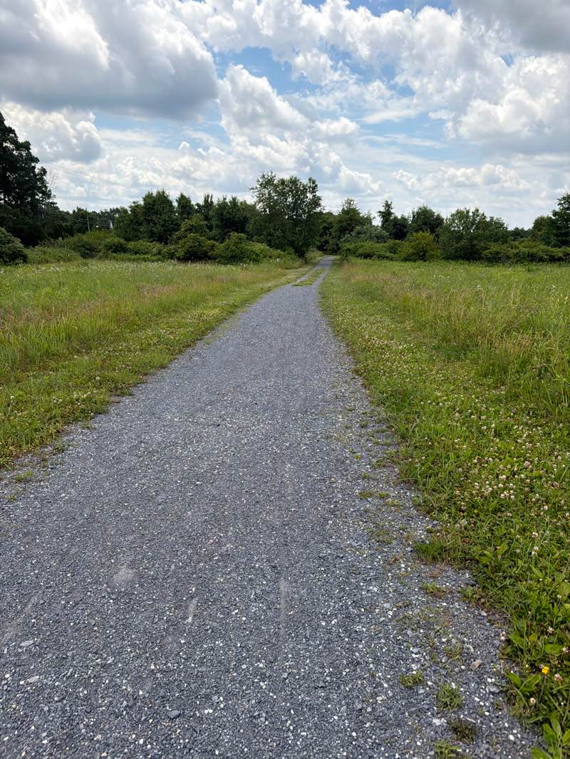 walking near me in Ballas Meadow Preserve in summer