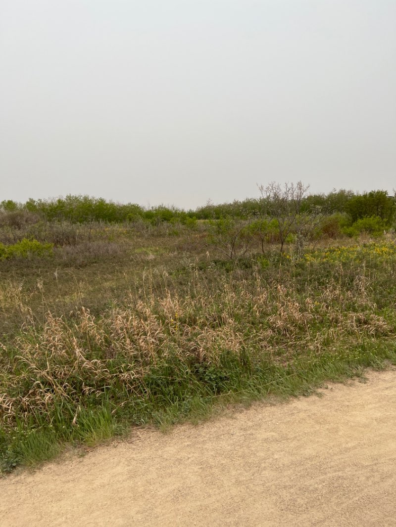 walking near me in Silverspring Park in winter