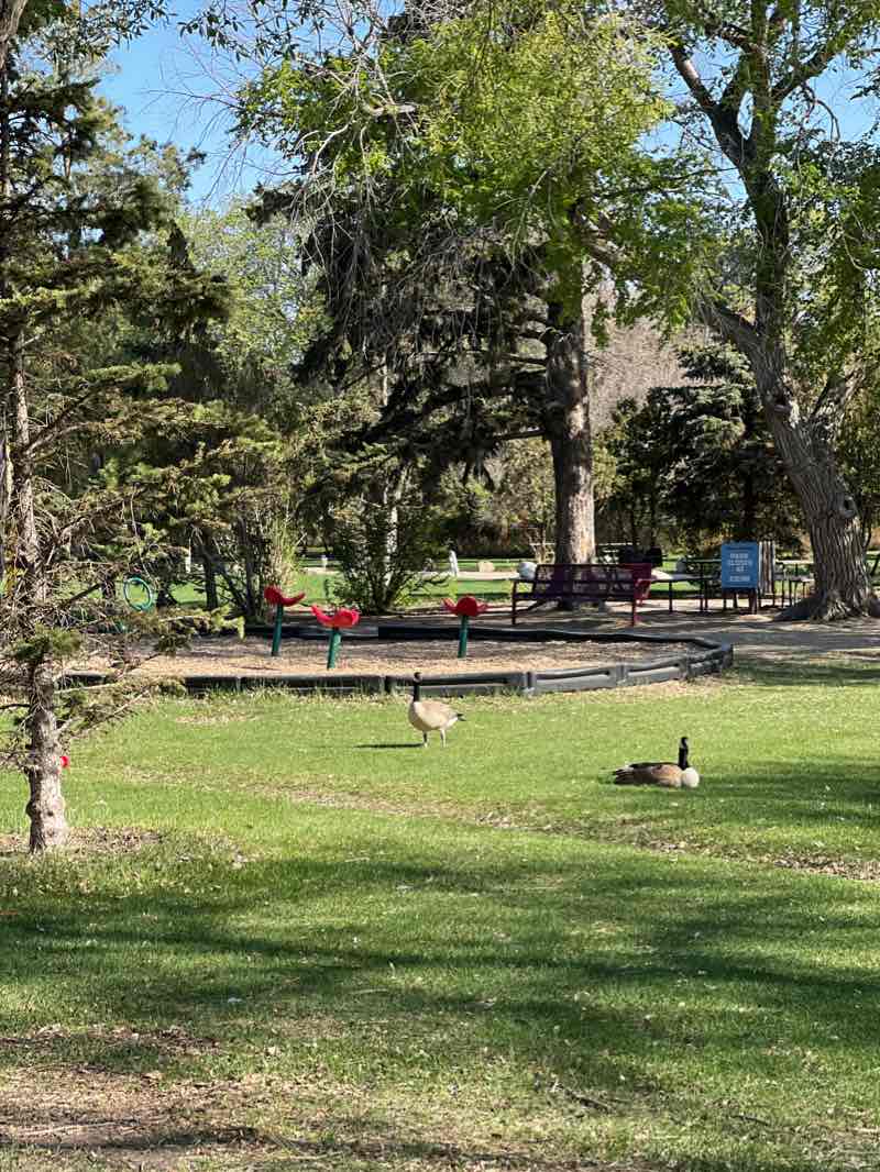 walking near me in Forest Park in winter