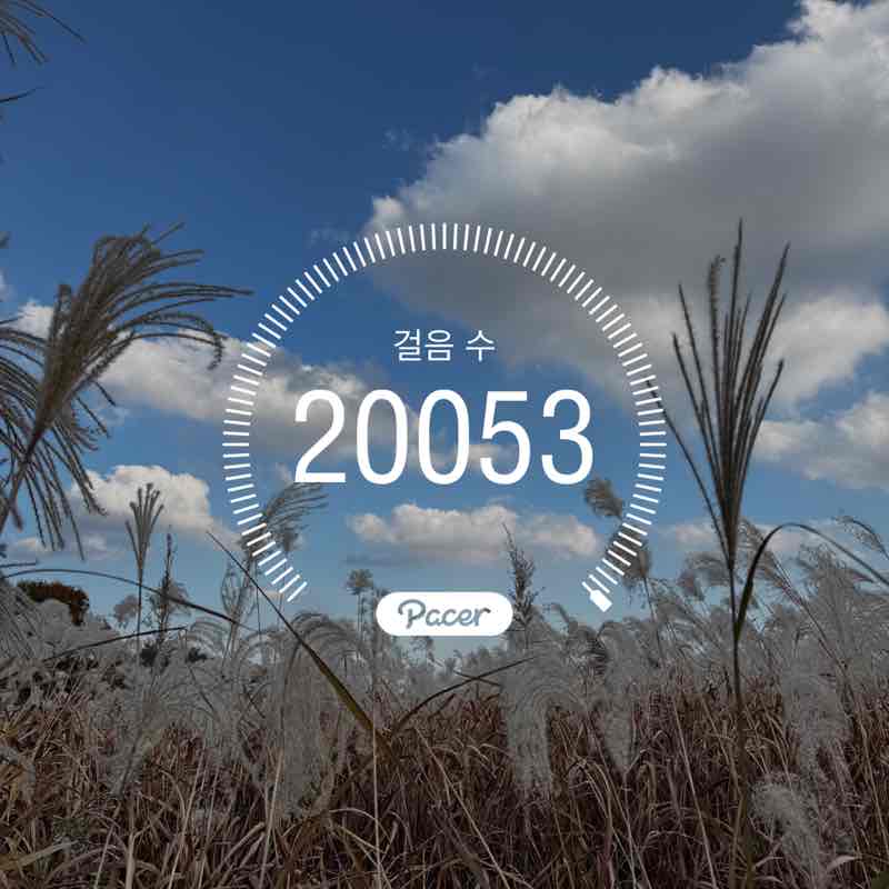 🇰🇷Jeong.C.🇰🇷 post 1