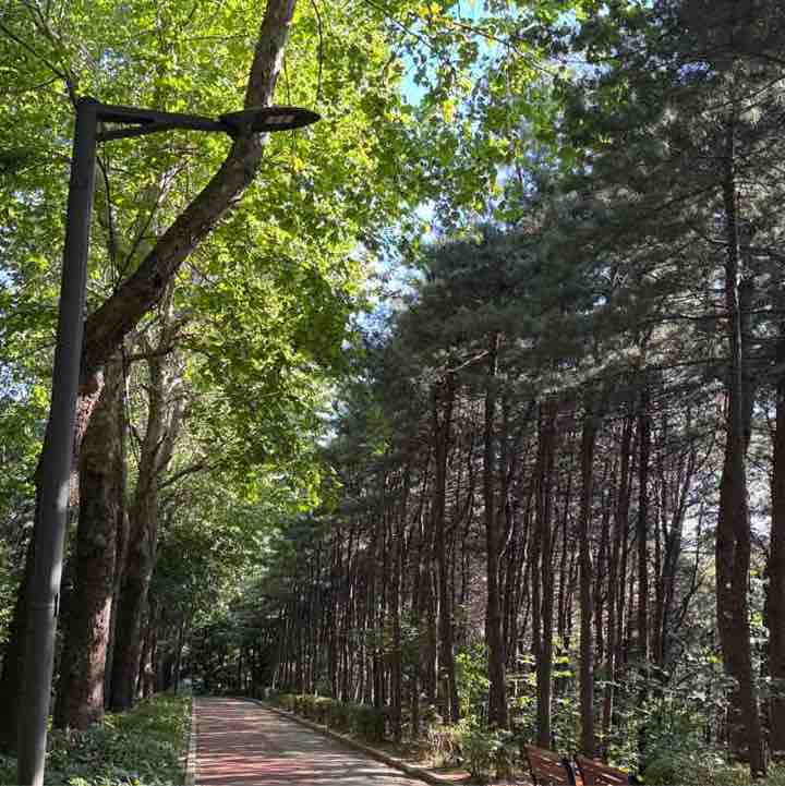 🇰🇷Jeong.C.🇰🇷 post 2