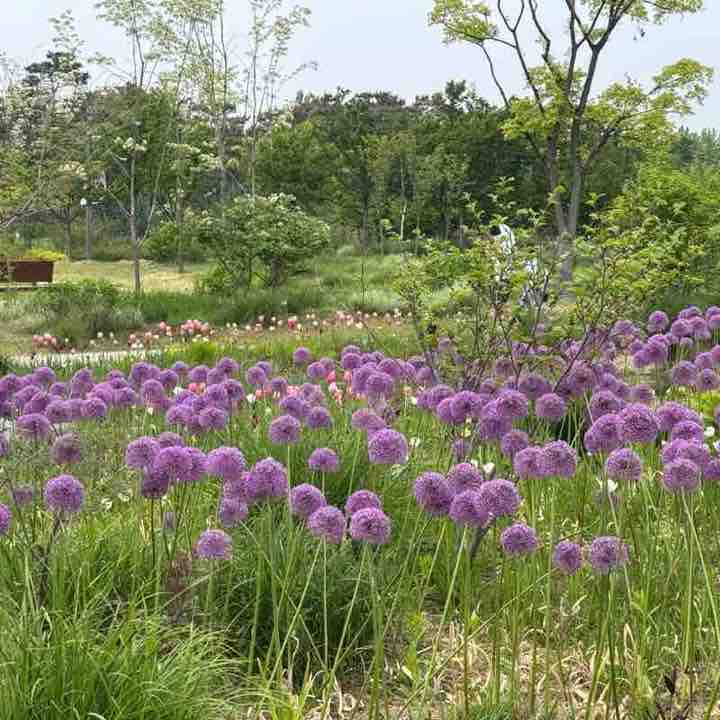 🇰🇷Jeong.C.🇰🇷 post 3