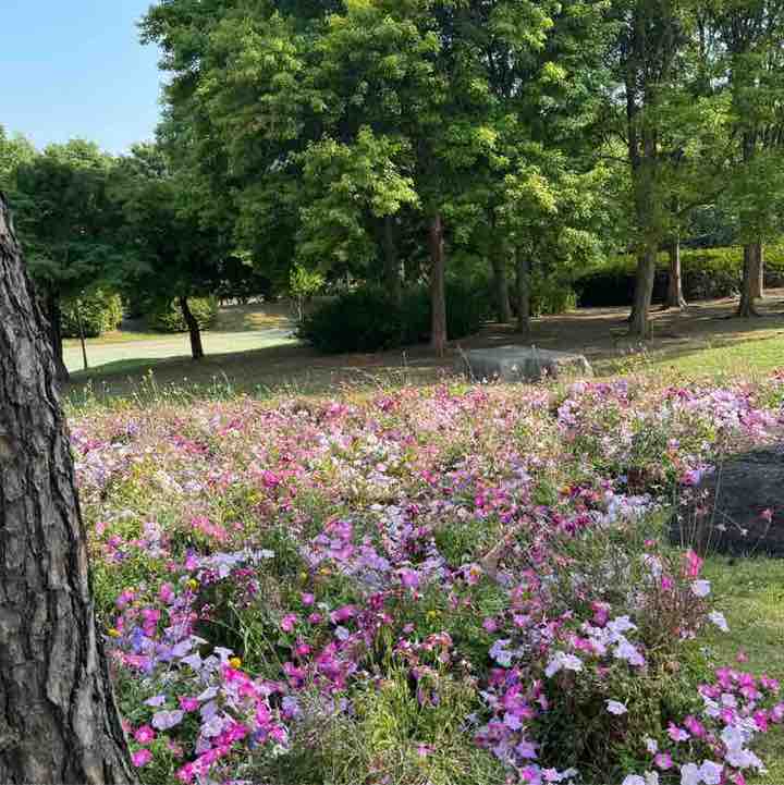 🇰🇷Jeong.C.🇰🇷 post 2