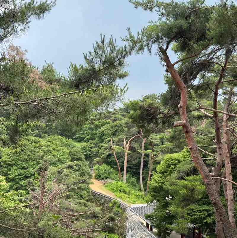 🇰🇷Jeong.C.🇰🇷 post 2