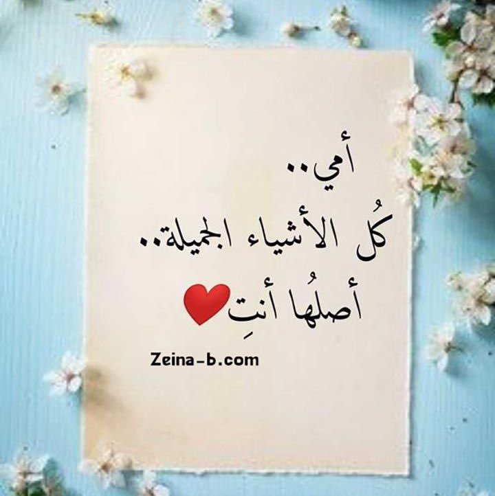 ام عبدالله profile