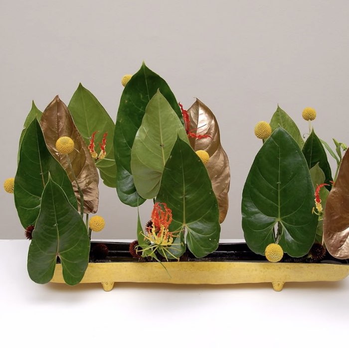 我是新北人 淑卿 post image