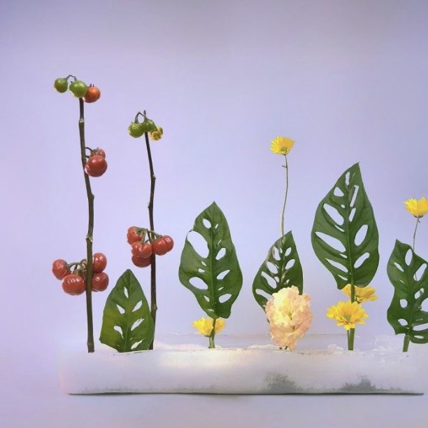 我是新北人 淑卿 post image