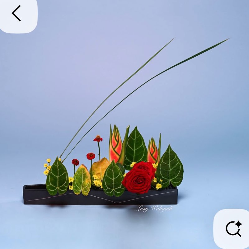 我是新北人 淑卿 post image