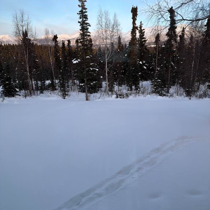 Margaret D. Stock post 1