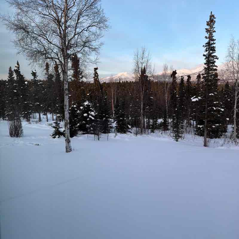 Margaret D. Stock post 2