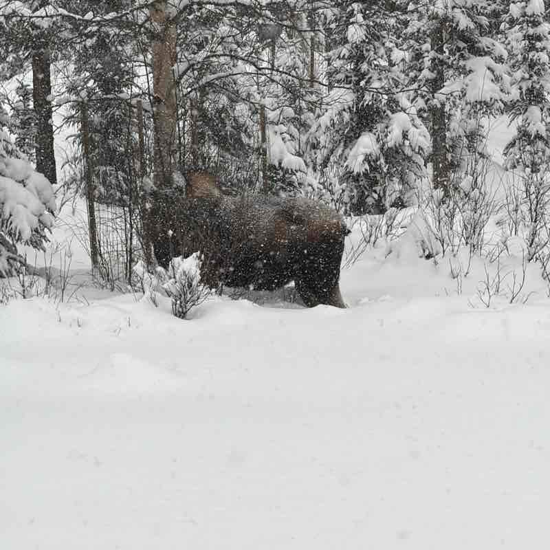Margaret D. Stock post 1