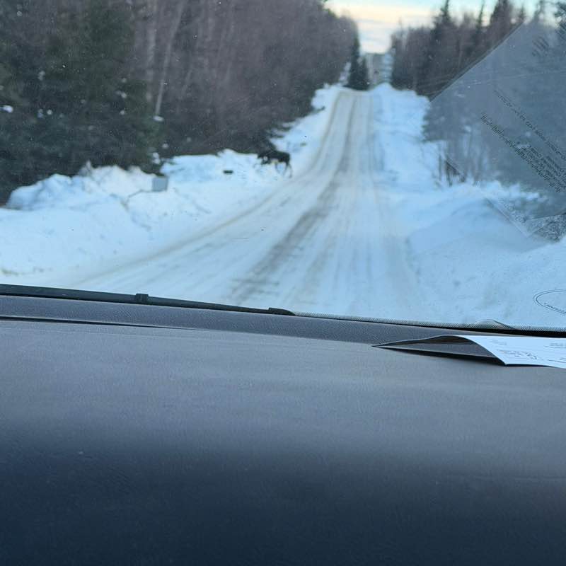 Margaret D. Stock post 2