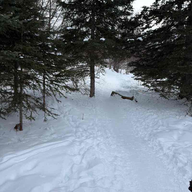 Margaret D. Stock post 2