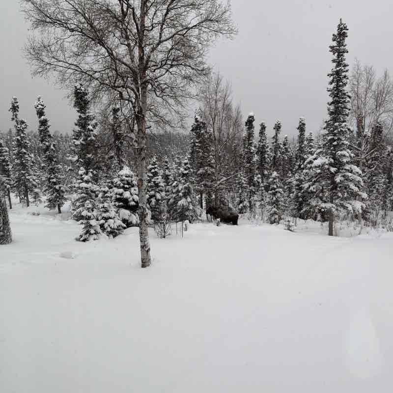 Margaret D. Stock post 2