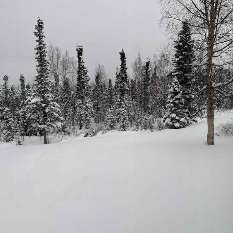 Margaret D. Stock post 3