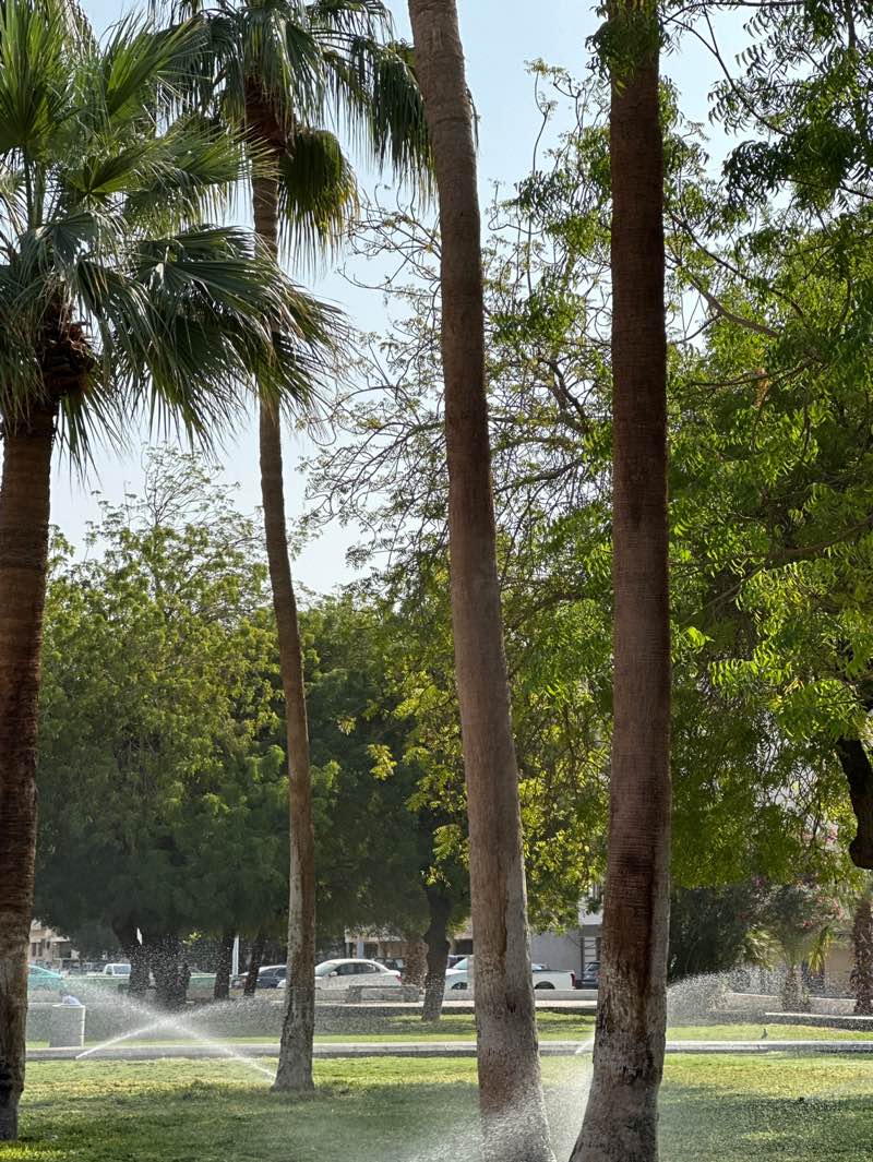 walking near me in Altdamon Park in winter