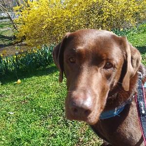 Claudia , glücklich Verheiratet, KEINE privaten Anfragen ❗️❗️ profile