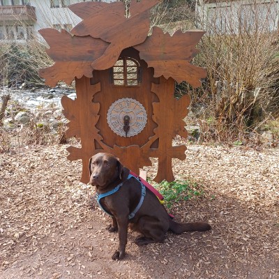 Bewusst laufen 🙏 Claudia , glücklich Verheiratet, KEINE privaten Anfragen ❗️❗️ post image