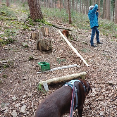 🚫⚠️⚽️Mitte 40 und fit⛵🍁🌿 🇩🇪🇪🇺Claudia , glücklich Verheiratet, KEINE privaten Anfragen ❗️❗️🇩🇪🇪🇺 post image