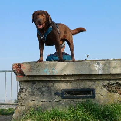 🚸⬆️🎗Peace 2🐞💛🌿🏃🏼‍♀️🏃🏼 🇩🇪🇪🇺Claudia , glücklich Verheiratet, KEINE privaten Anfragen ❗️❗️🇩🇪🇪🇺 post image