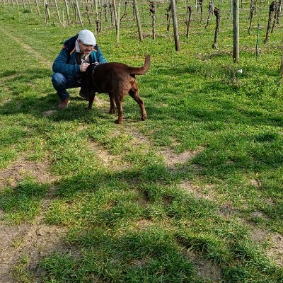 🤗😊🤣U2 💚🤍🧡🧑🏻‍🎤🎶🎵🎼 🇩🇪🇪🇺Claudia , glücklich Verheiratet, KEINE privaten Anfragen ❗️❗️🇩🇪🇪🇺 post image