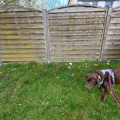 🌎🌷🌺To Run  2 🛼⚓🩴 🇩🇪🇪🇺Claudia , glücklich Verheiratet, KEINE privaten Anfragen ❗️❗️🇩🇪🇪🇺 post image