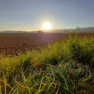 🌎🌷🌺To Run  2 🛼⚓🩴 🇩🇪🇪🇺Claudia , glücklich Verheiratet, KEINE privaten Anfragen ❗️❗️🇩🇪🇪🇺 post image