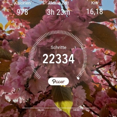 🔹️▪️🔸️Moonlight shadows🌛🌕🌷 🇩🇪🇪🇺Claudia , glücklich Verheiratet, KEINE privaten Anfragen ❗️❗️🇩🇪🇪🇺 post image