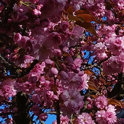 🌎🌷🌺To Run  2 🛼⚓🩴 🇩🇪🇪🇺Claudia , glücklich Verheiratet, KEINE privaten Anfragen ❗️❗️🇩🇪🇪🇺 post image