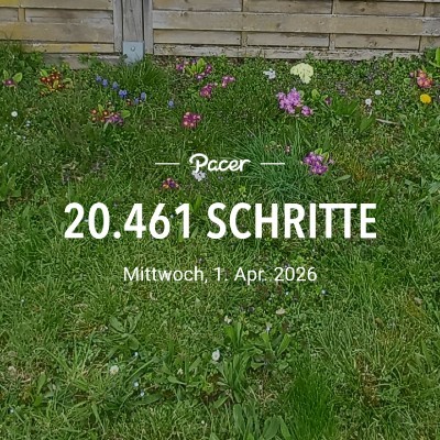 🌎🌷🌺To Run  2 🛼⚓🩴 🇩🇪🇪🇺Claudia , glücklich Verheiratet, KEINE privaten Anfragen ❗️❗️🇩🇪🇪🇺 post image