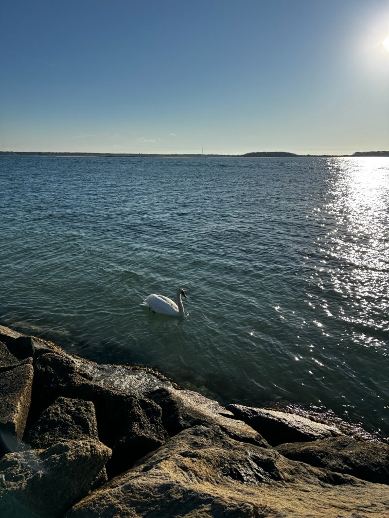 walking near me in John F. Kennedy Memorial Park in spring