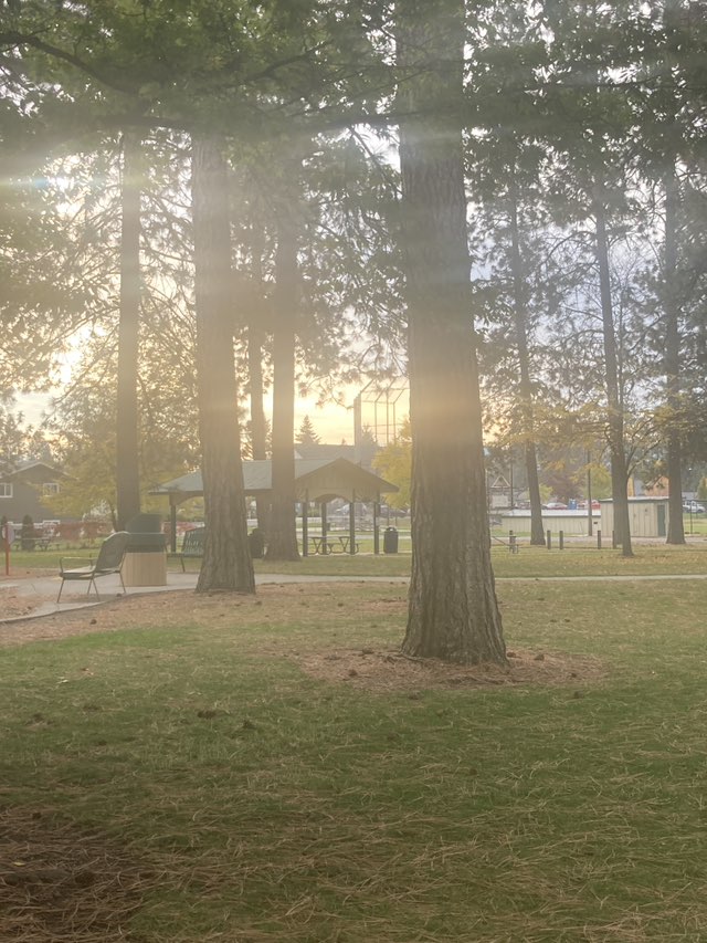 walking near me in White Pine Park in autumn