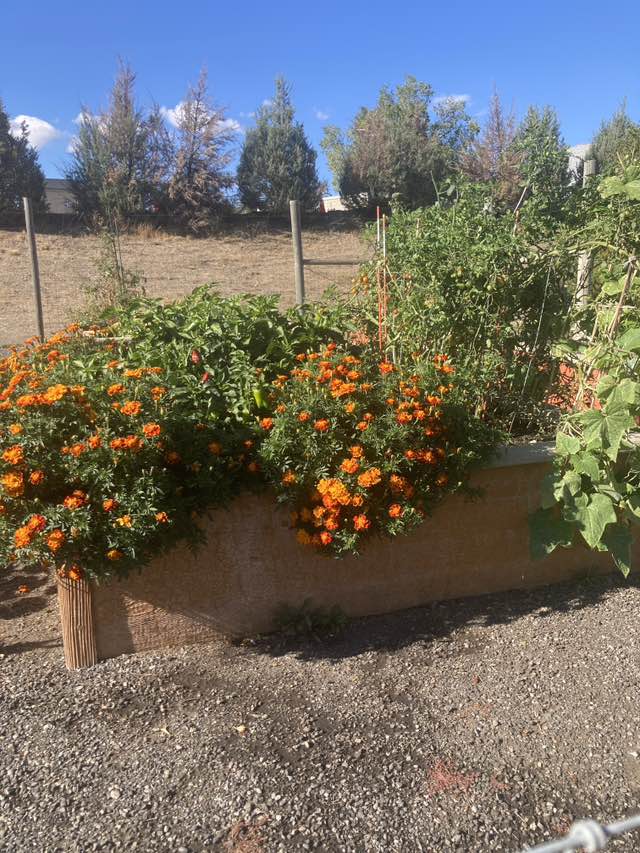 walking near me in Nature's Place at Meadowwood in autumn