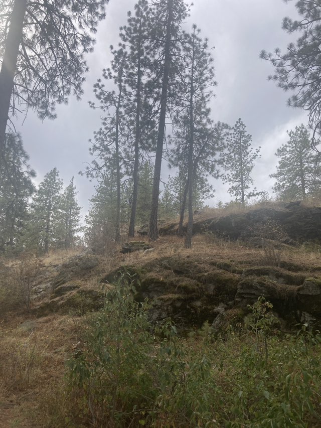 walking near me in Black Bay Park in autumn