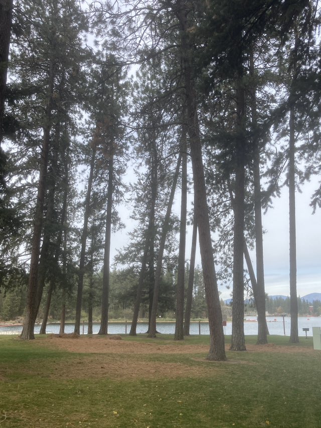 walking near me in Q'emiln Park in autumn