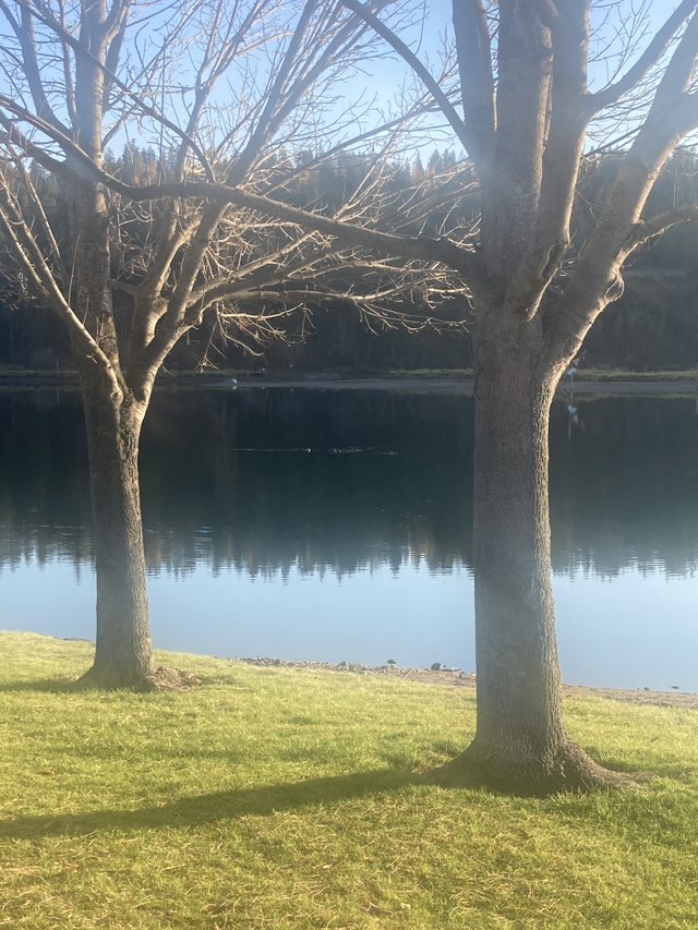 walking near me in Johnson Mill River Park in autumn