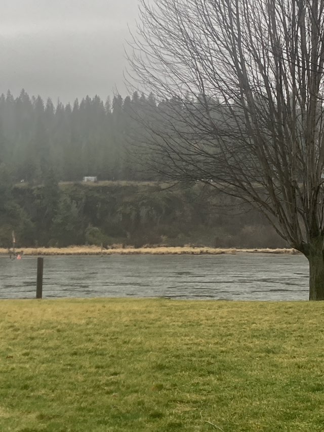 walking near me in Johnson Mill River Park in winter