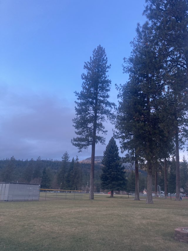 walking near me in Stub Meyer Park in winter