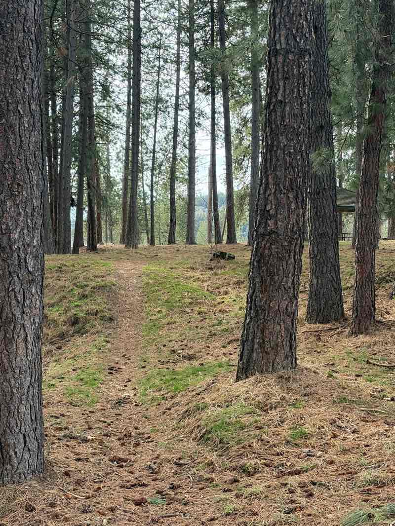 walking near me in Winton Park in winter