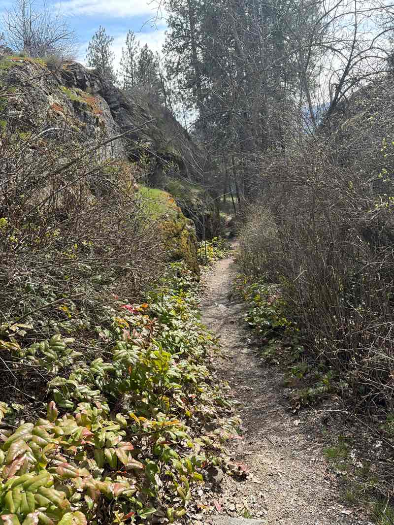 walking near me in Treaty Rock Park in spring