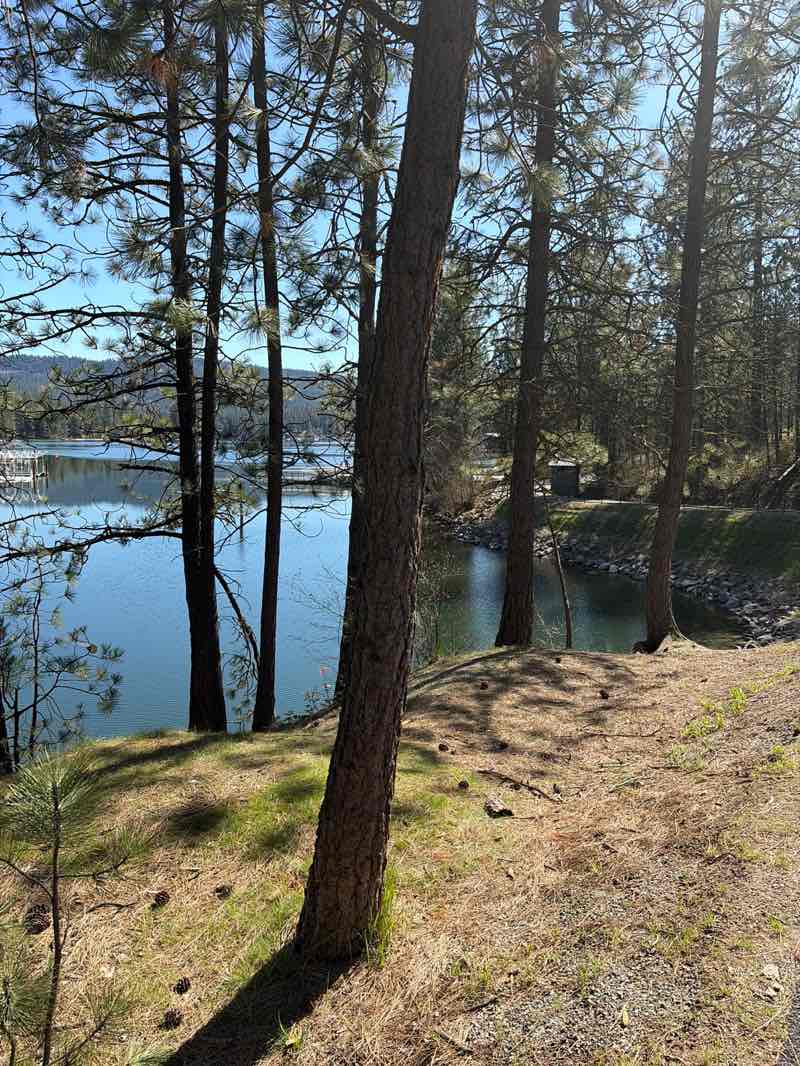 walking near me in Black Bay Park in spring
